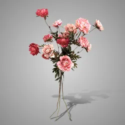 Sortment Ranunculus Sober Spring 92 cm