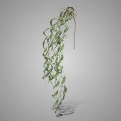 Hanging Eucalyptus Carved Green 136 cm