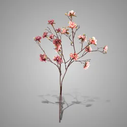 Sortment Azalea Pink 90 cm