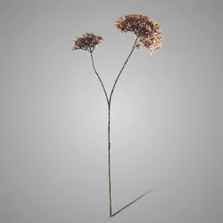 Crown Flower Autumn Brown 70 cm