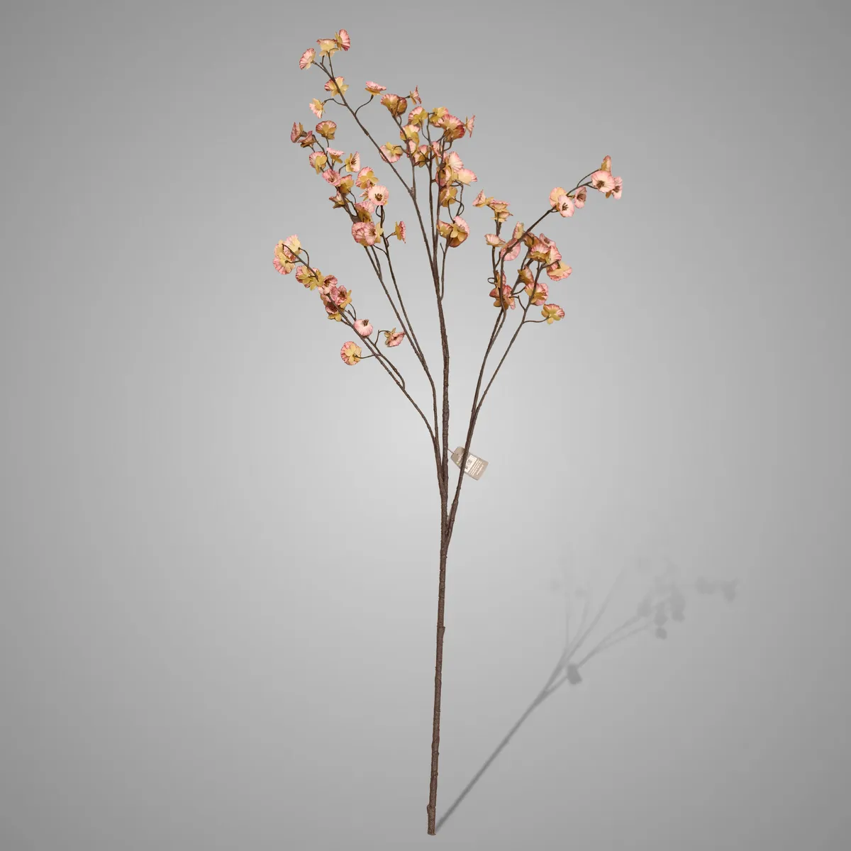 Cornus Carved Grande Pink 120 cm