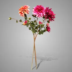 Sortment of Dahlia Grande Salmon/Pink/Red 71 cm