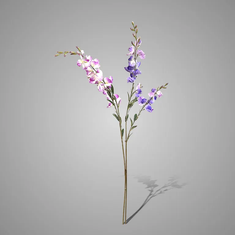 Sortment of Lathyrus Purple/Blue 92 cm