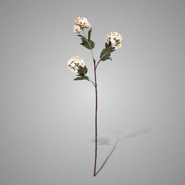Viburnum White 90 cm