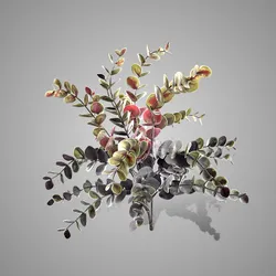 Brynxz Collections, SYLXZ, Zijde, Aardewerk, Landelijk, Rustiek, Vintage Majestic, stijlvol, landleven, verlichting, kaarsen, Kandelaar, Industrial, Spiegels, Smeedwerk, potten, waxinehouder, cylinder, Windlicht.