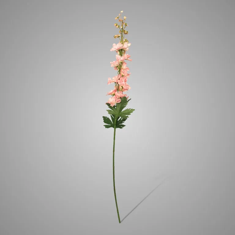 Delphinium Light Pink 79 cm