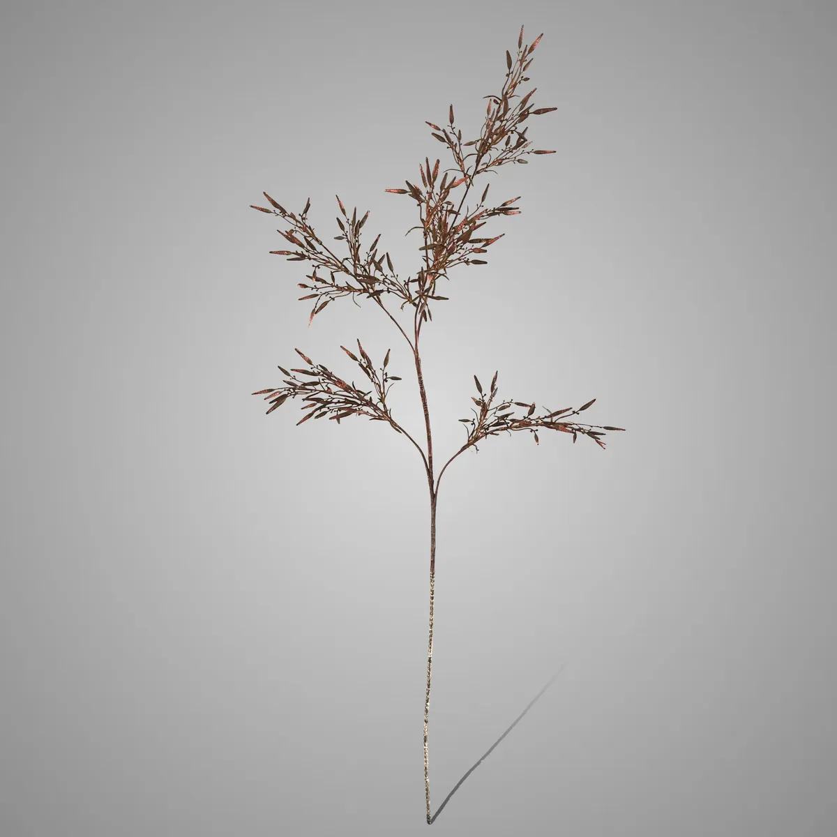 Dictamnus Twig Ant. Pink 100 cm