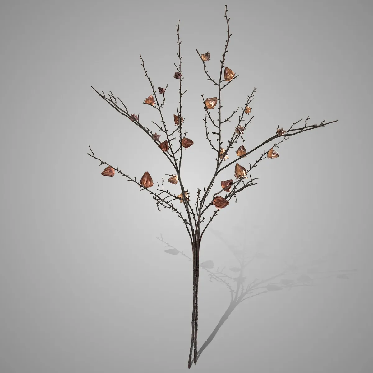 Sort. of 2 Poppy Fructus Brown Range 96 cm
