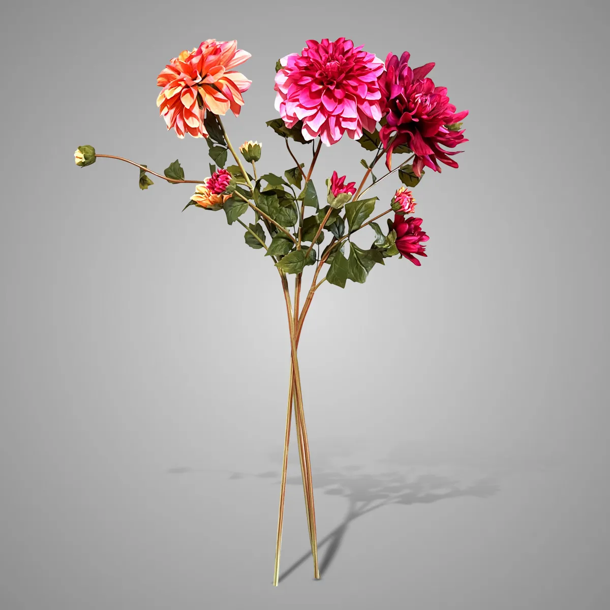 Sortment of Dahlia Grande Salmon/Pink/Red 71 cm
