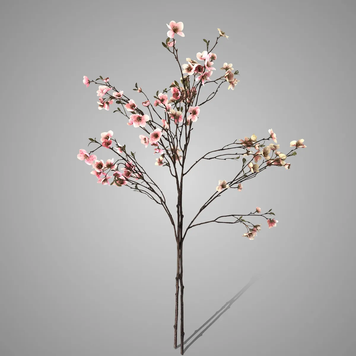 Sort. of 2 Malus In Bloom Green Pink 90 cm