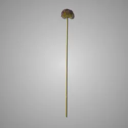 Allium Spring's Perfect Grande Purple Blue 75 cm