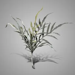 Bush Dearhorn Fern Grey Green 40 cm