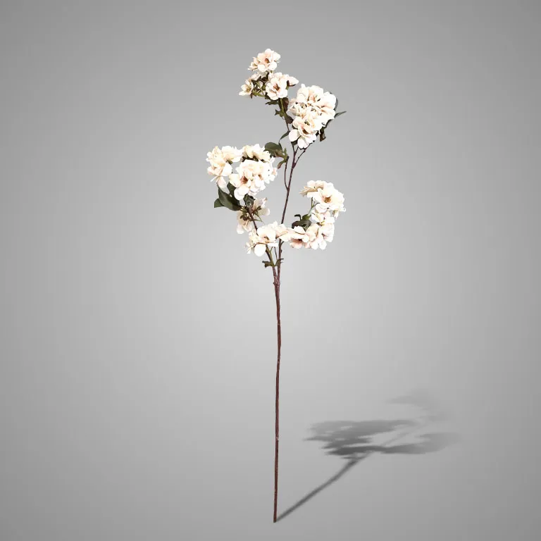 Prunus Sakura White 81 cm