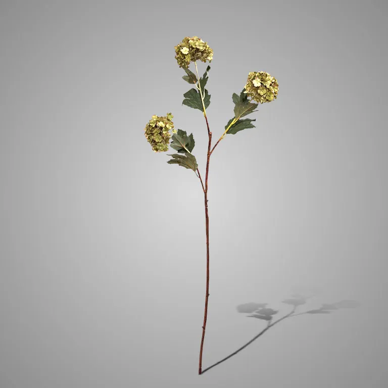 Virburnum Green 90 cm