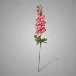 Delphinium Ant. Pink 75 cm