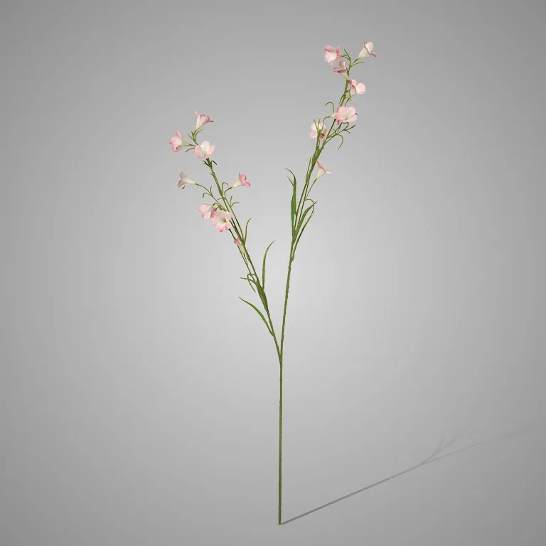 Campanula spray Reeva pink 105cm