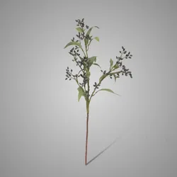 Eucalyptus Buds Dark Purple 78 cm