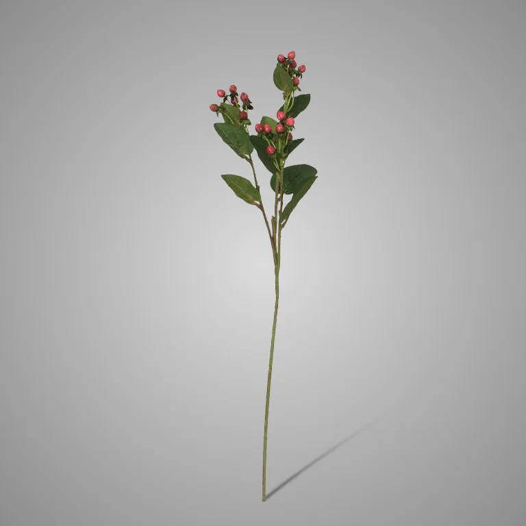 Hypericum Red 68 cm
