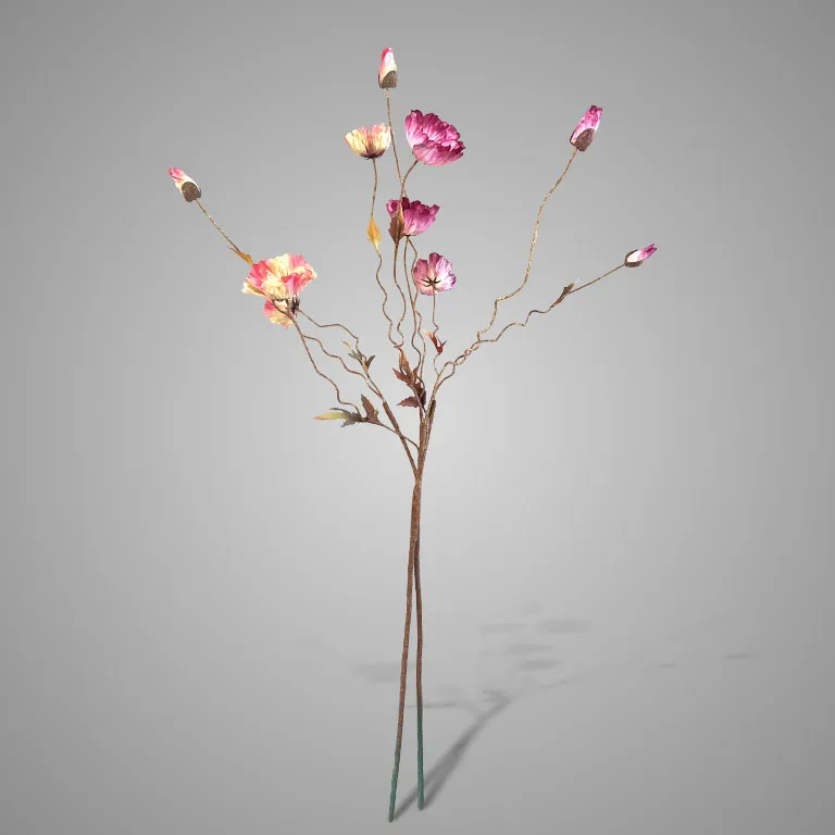 Sortment of Poppy Twist Fading Purple and Pink100 cm