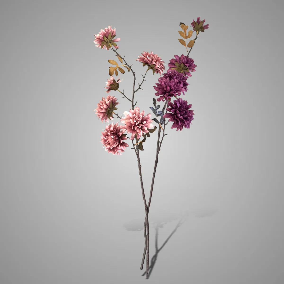 Sort. of 2 Asters Multi Stem Purple Pink 80 cm
