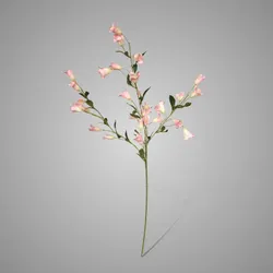 Campanula Grande Light Pink 100 cm