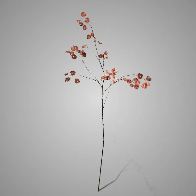 Silver Dollar Spray Lalu Copper 138cm