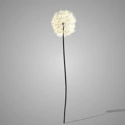 Dandelion Off White 102 cm