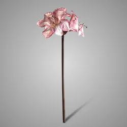 Amarillys Ant. Pink 62 cm