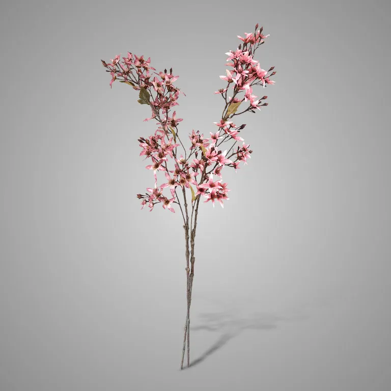 Sortment Forsythia Pink 95 cm