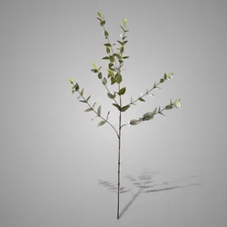 Ligustrum Green/grey 100 cm