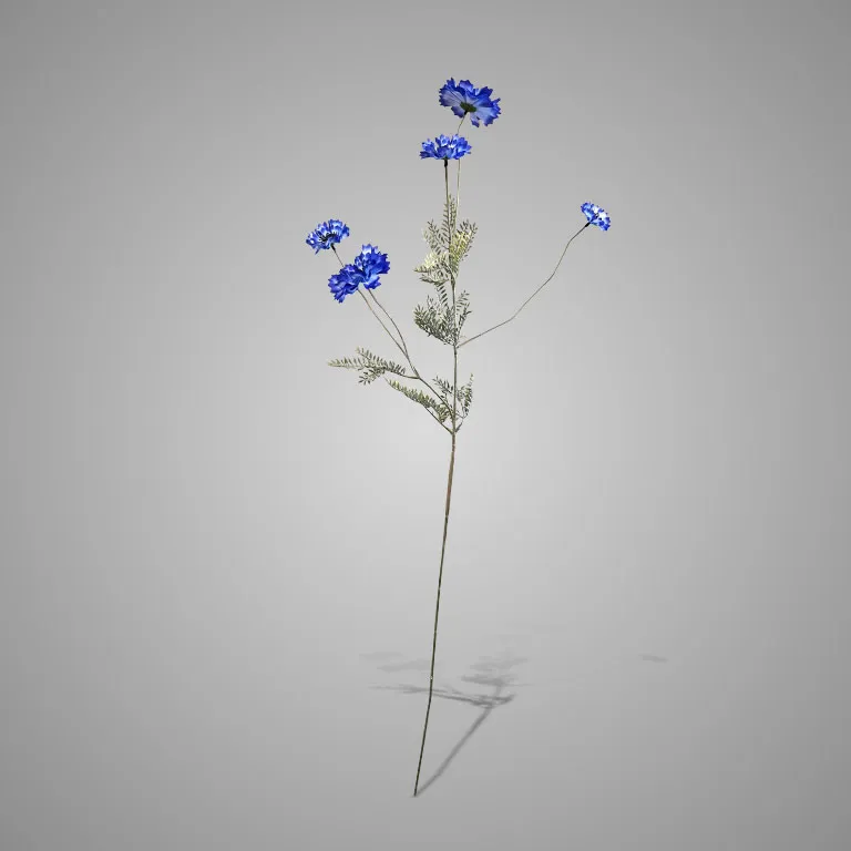 Centaurea Blue 85 cm