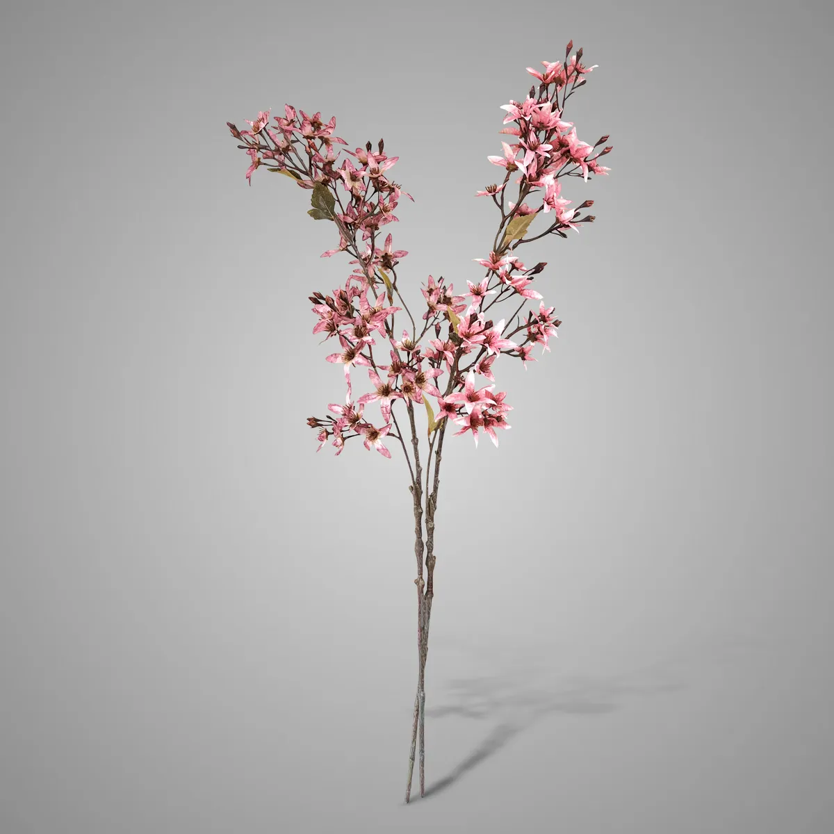 Sortment Forsythia Pink 95 cm