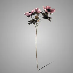 Anemone Autumn Pink 56 cm