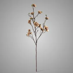 Azalea Stem Off White 83 cm