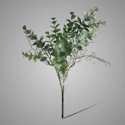 Eucalyptush Bush Green 35 cm