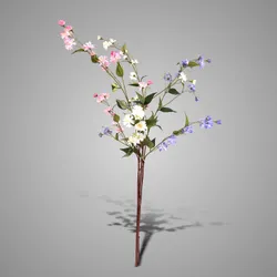 Sortment Weigelia Springrange 102 cm