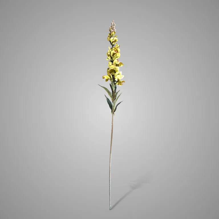 Antirrhinum Green 92 cm