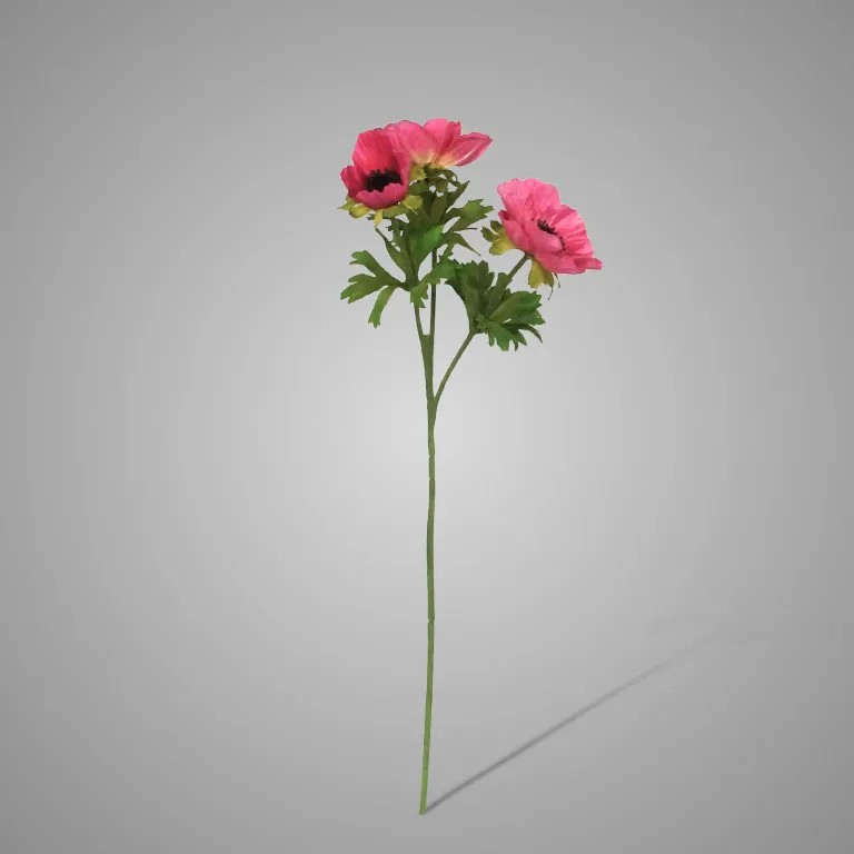 Anemone Hot Pink  56 cm