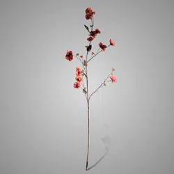 Hibiscus Grande Red 100 cm