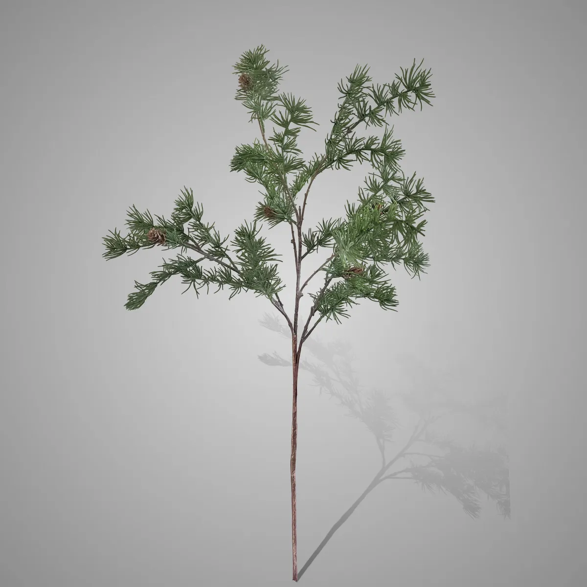 Larix Twig With Cones 91 cm
