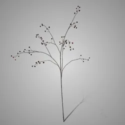 Rose Hip Branche Burguny 134cm