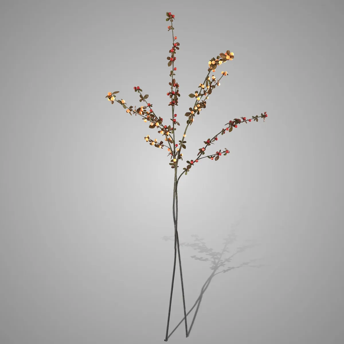 Sort. of 2 Aronia Stem Orange Range L 100 cm