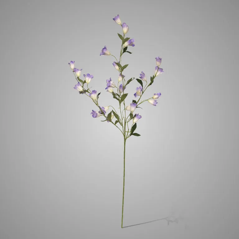 Campanula Blue 110 cm