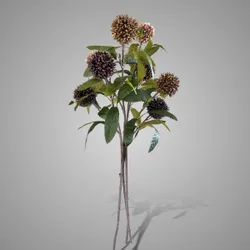 Brynxz Collections, SYLXZ, Zijde, Aardewerk, Landelijk, Rustiek, Vintage Majestic, stijlvol, landleven, verlichting, kaarsen, Kandelaar, Industrial, Spiegels, Smeedwerk, potten, waxinehouder, cylinder, Windlicht.