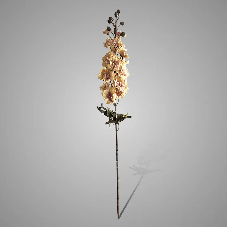 Delphinium Yellow Pink 75 cm