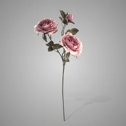 Peony Classic Pink 70 cm