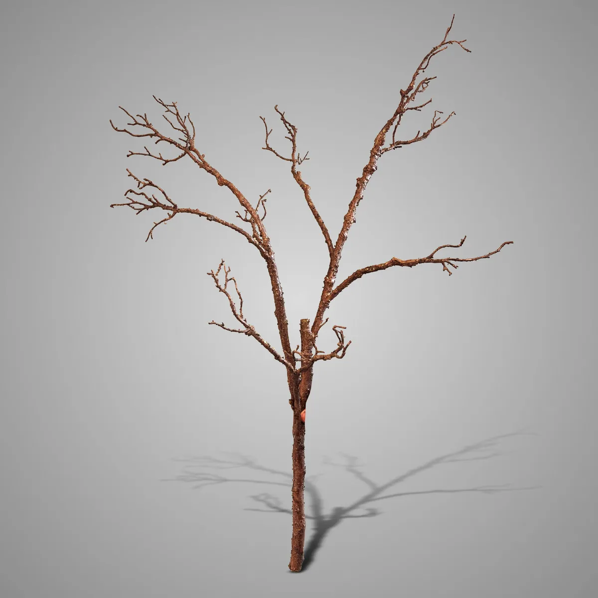 Branch Real Brown 116 cm