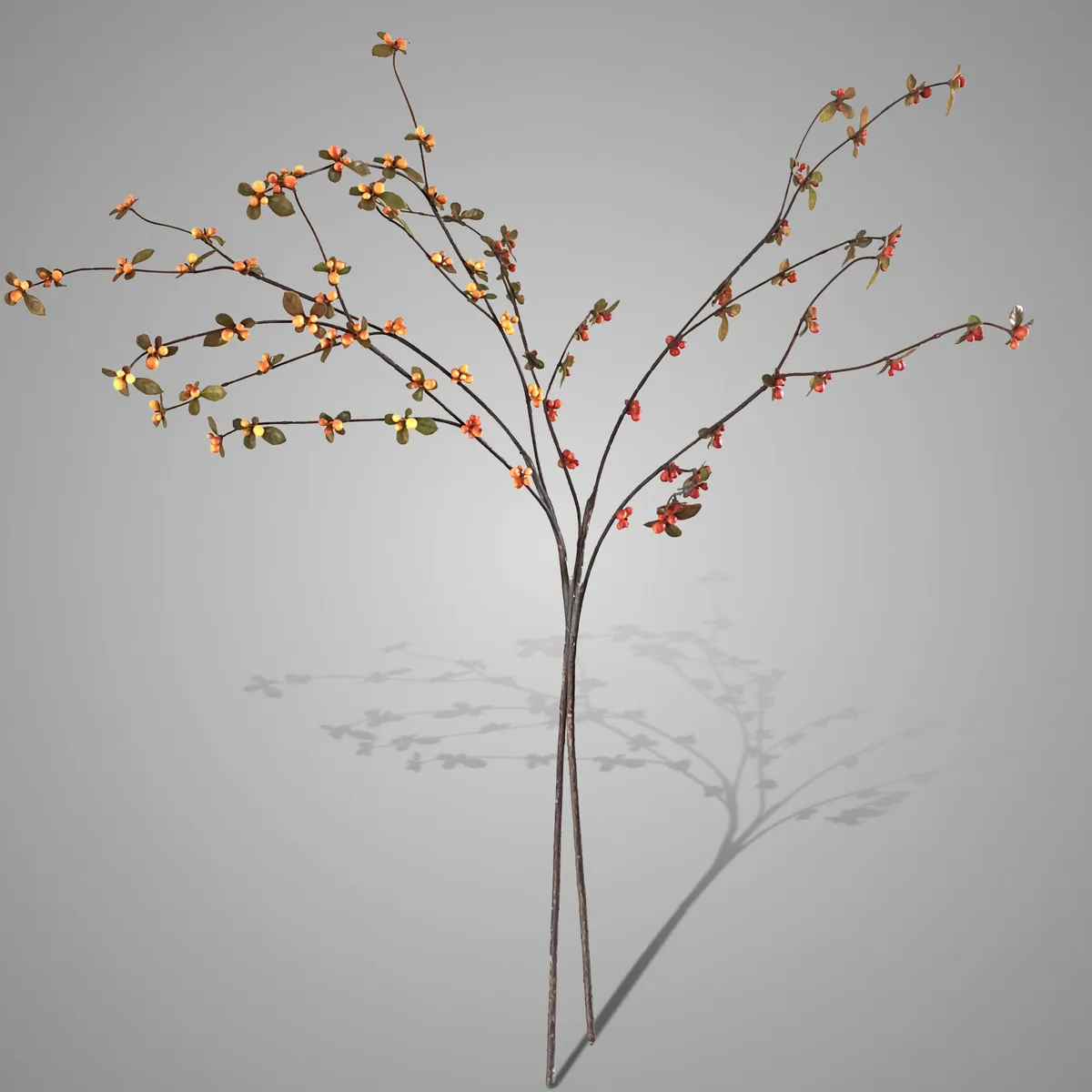 Sort. of 2 Aronia Stem Orange Range M 80 cm