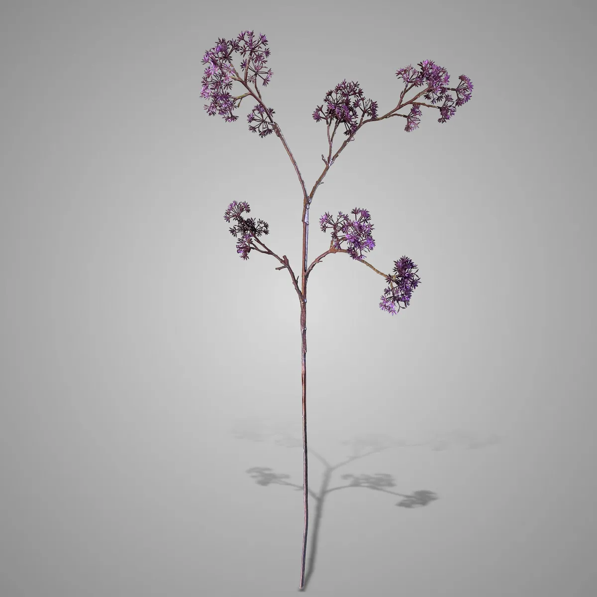 Limone Stem Grande Purple 90 cm