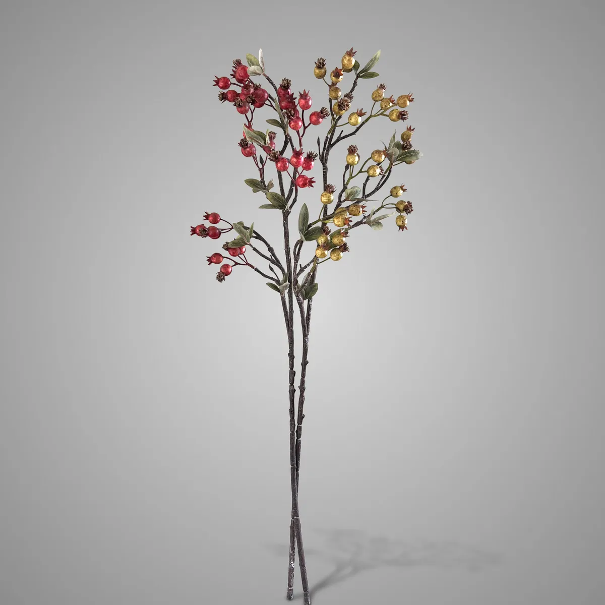 Sort. of 2 Malus Fructus Green Red 81 cm
